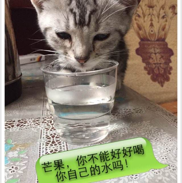 信宜高中毕业证图片2012